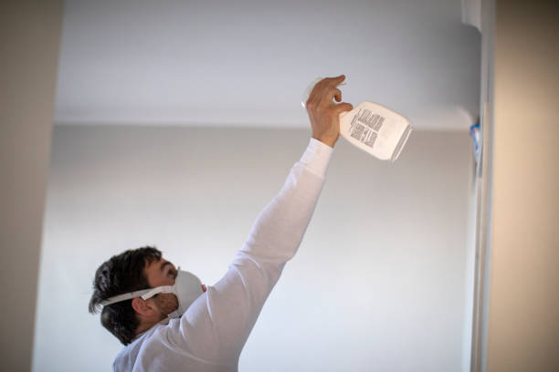 Best Attic Mold Remediation in Rogersville, MO