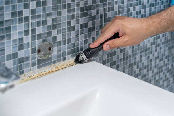 Best Insurance-Related Mold Remediation in Rogersville, MO